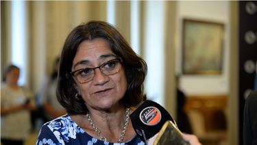 Corpacci inaugurará otro tramo de la ruta 46