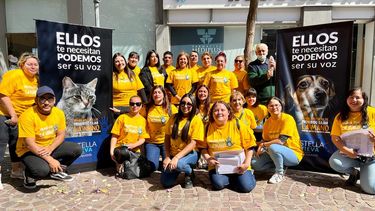 juntan firmas para establecer una ley de proteccion y bienestar animal