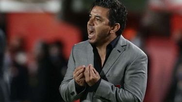 gallardo no se contuvo ante pitana: que cobras pelotudo