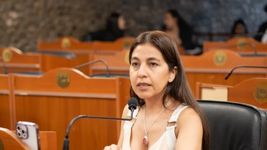 El Senado provincial dio media sanción a la suspensión de las PASO