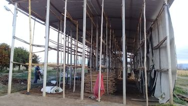 AICAT intervendrá en la compra de material para galpones a los tabacaleros