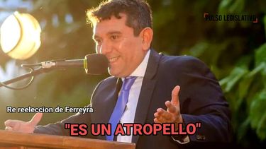 Críticas a Guillermo Ferreyra