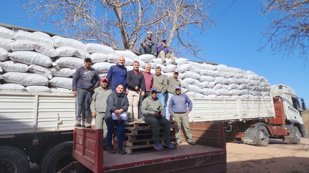 Catamarca exporta nueces a la India y porotos a Colombia.jpeg