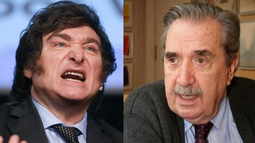 El Comité Capital de la Unión Cívica Radical expresó su rechazo a las críticas de Milei a Alfonsín