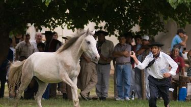la segunda semana de enero llega con una intensa agenda turistica