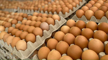el precio de los huevos aumento casi un 50%