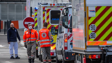 virus shamonda: muere en francia la primera persona infectada en el mundo