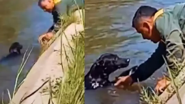Captura del video