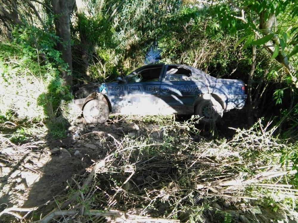 91047.jpg