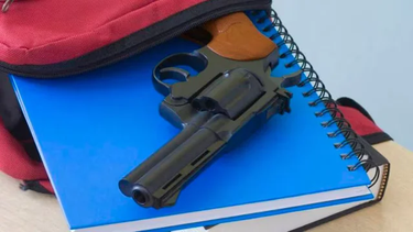mendoza: detuvieron a la mama de un adolescente que llevo un arma al colegio