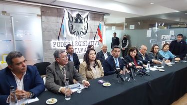 senadores lanzaron una convocatoria para trabajar en la reforma del estatuto docente