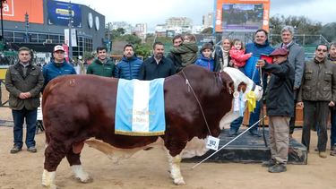 El Gran Campeón Macho de la raza Braford fue para el box 982, de la cabaña La Dominga
