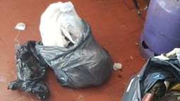 Dio a luz el baño de su casa y tiró al bebé en una bolsa