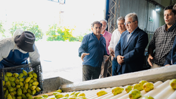 Catamarca avanza hacia su primera exportación de tuna con destino a Europa Catamarca avanza hacia su primera exportación de tuna con destino a Europa