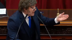 Javier Milei cargó contra el kirchnerismo y afirmó: Manga de chorros, por eso tienen a su líder presa Javier Milei cargó contra el kirchnerismo y afirmó: Manga de chorros, por eso tienen a su líder presa