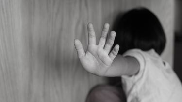 librarian orden de detencion contra presunto pedofilo