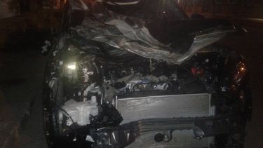 Un caballo suelto casi produce un siniestro vial