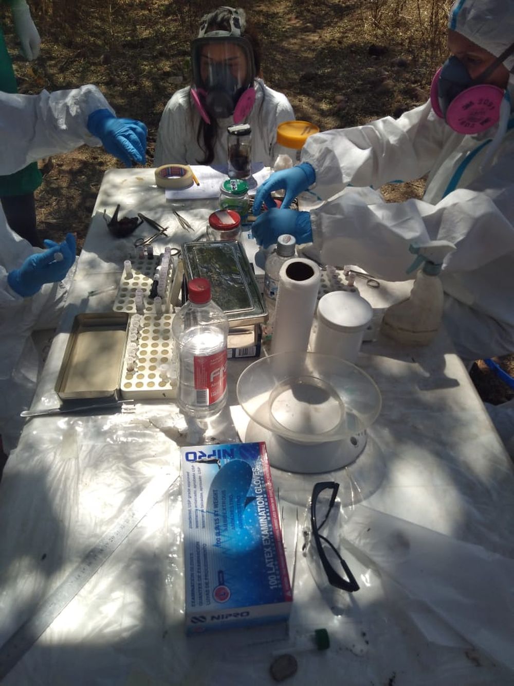 CONICET y Salud encabezan una investigación sobre Hantavirus en la ...