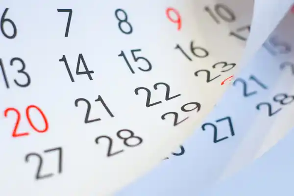 ¿Minivacaciones?: noviembre llega con feriado extra largo