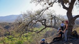 Guías especializados proponen actividades culturales y naturales que permiten descubrir la identidad de la Capital.