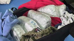 Alerta ruta 38: más de 100 kilos de droga fueron incautados en menos de un mes Alerta ruta 38: más de 100 kilos de droga fueron incautados en menos de un mes