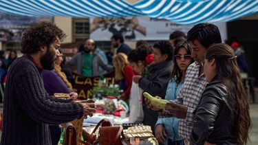la feria de semillas cumple 20 ediciones