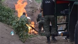 Incineraron 150 kilos de drogas en la Capital