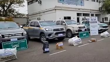 Operativo Poncho Blanco: la cocaína secuestrada tiene la marca del delfín