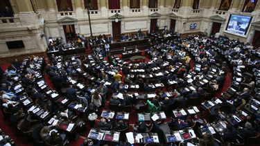 diputados rechazo el dnu para los gastos reservados de la side