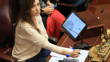 villarruel creo una comision para revisar toda la dotacion de empleados