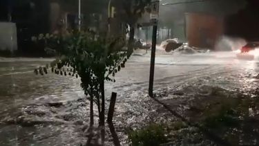 pasados por agua: los videos de la lluvia