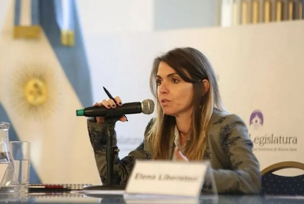 Jueza Karina Andrade.