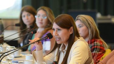 Ivana Ibáñez, dio a conocer los datos obtenidos a través del Sistema Integrado de Casos de Violencia por Razones de Género.