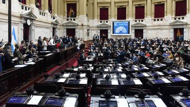 la oposicion rechazo los vetos de milei al financiamiento universitario y la emergencia pediatrica
