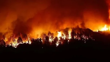 Incendio en Los Alerces: ya se quemaron más de 1.800 hectáreas