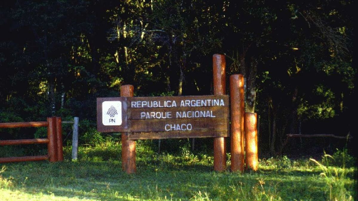 El Parque Nacional Chaco invita a conocer sus verdes