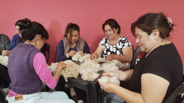 Fibras naturales e hilados en Belén y Santa María