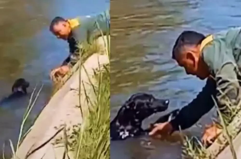 Captura del video