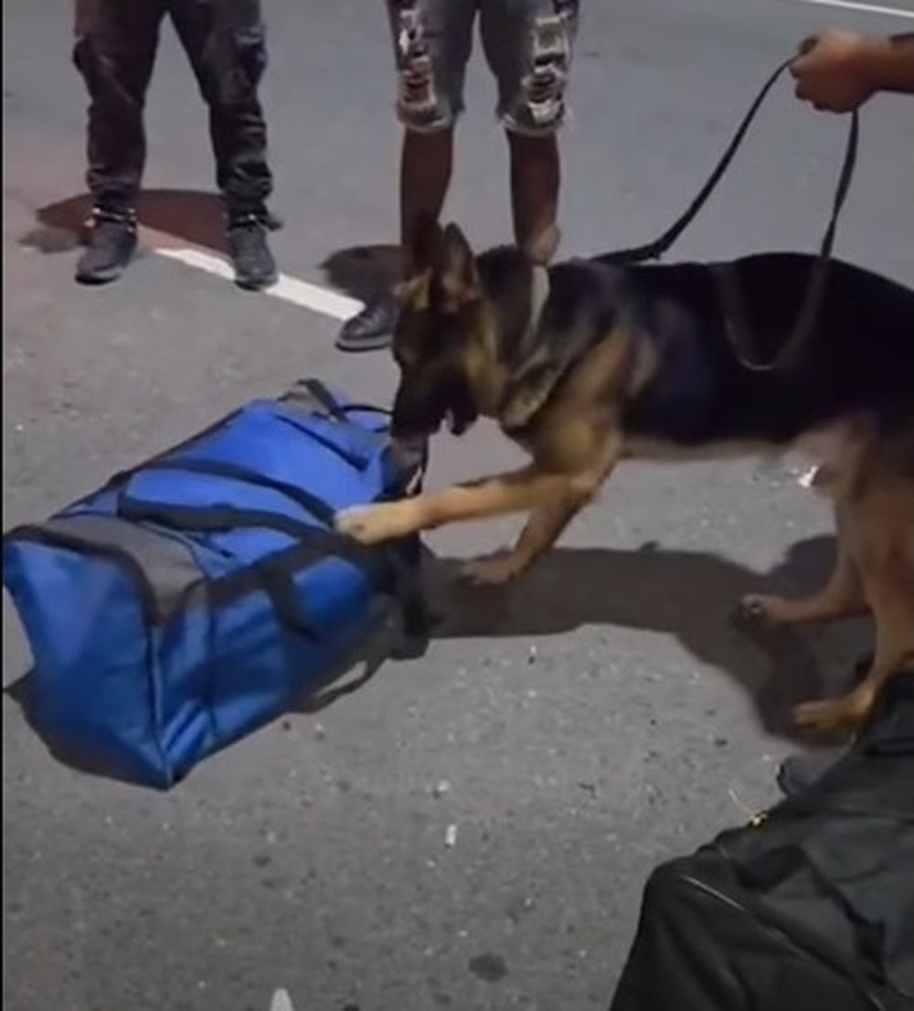 Paquetes. El perro adiestrado Nerón fue clave para el secuestro.