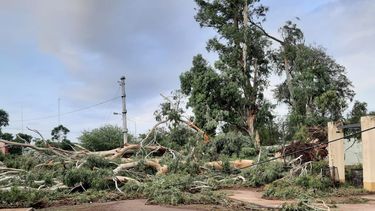 ¿Fue o no fue un tornado?&nbsp;