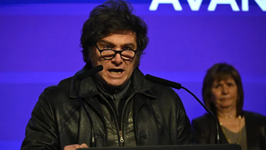 javier milei tambien veto la ley de emergencia pediatrica