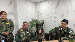 Caballero, el perro que participó en la captura de un prófugo Caballero, el perro que participó en la captura de un prófugo