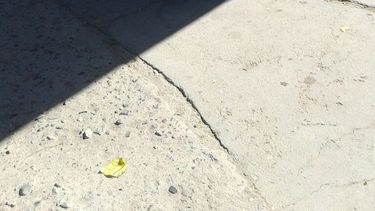 Trasladaron paciente en camión de basura por falta de ambulancia