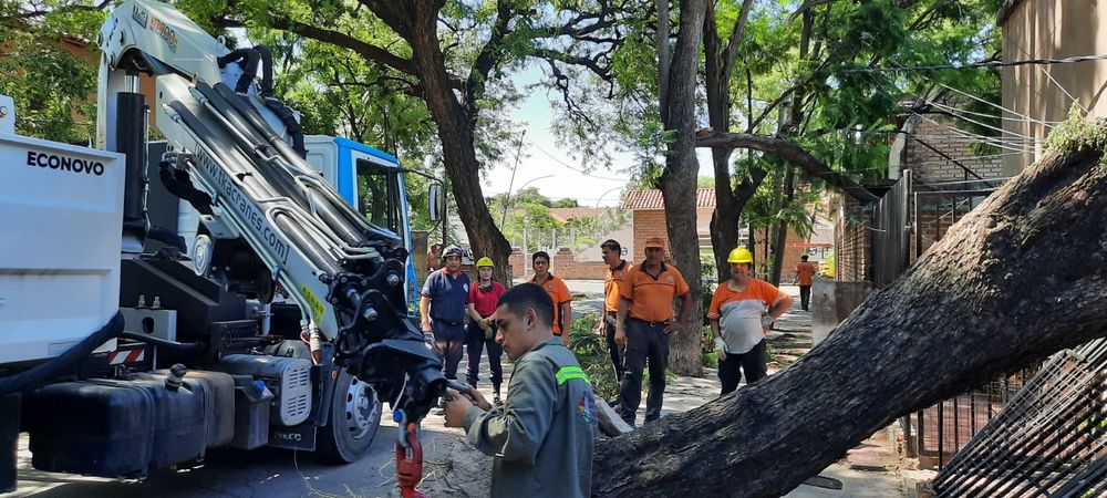 Desastres. Ayer continuaban las tareas para lograr la limpieza de calles y restitución de los servicios.