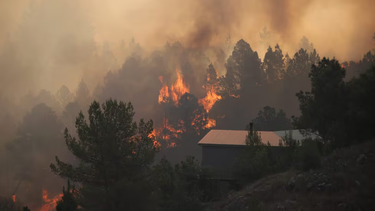 un hombre fue detenido por el voraz incendio en cordoba