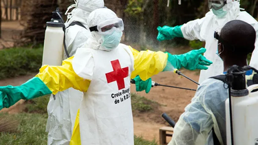 la oms declaro la emergencia sanitaria a nivel mundial por un brote de ebola en africa
