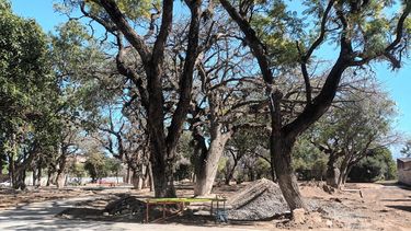 Valle Viejo: piden acelerar obra