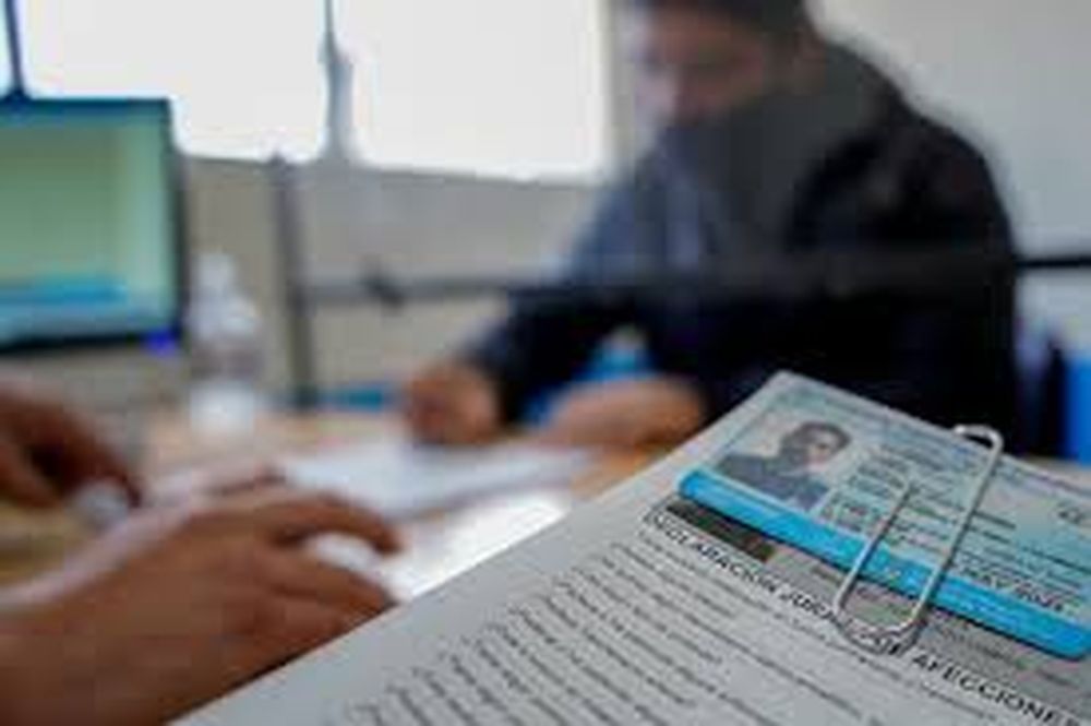 Licencias de conducir.&nbsp;