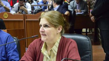 La campaña comenzó en la Legislatura