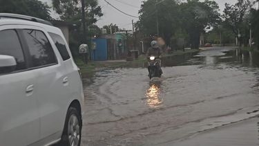 defensa civil trabaja por caida de arboles, calles anegadas y viviendas afectadas en valle viejo